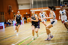 Basketball, Win2Day Basketball Damen Superliga 2024/25, Grunddurchgang 11.Runde, Vienna Timberwolves, Vienna United, 
