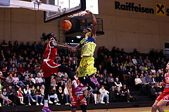 31.01.2025, Graz, Raiffeisen Sportpark Graz, Basketball Superliga 2024/25, Grunddurchgang, Runde 19, UBSC Graz - BC Vienna