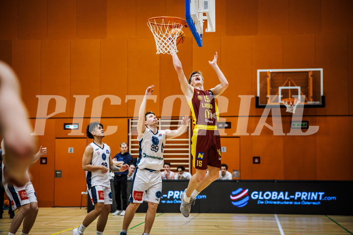Basketball, Basketball Zweite Liga 2024/25, Grunddurchgang 20.Runde, Vienna Timberwolves, Traiskirchen Lions NexGen, Erik Dietz (15)