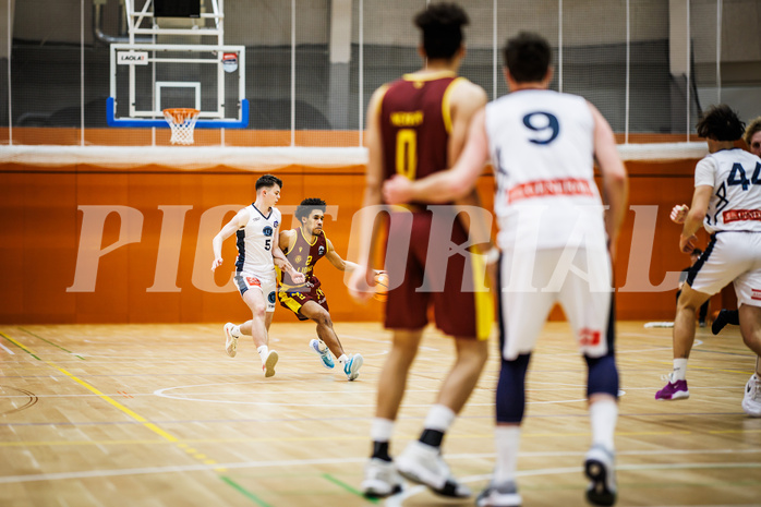 Basketball, Basketball Zweite Liga 2024/25, Grunddurchgang 20.Runde, Vienna Timberwolves, Traiskirchen Lions NexGen, Jakob Konzet (5), Obinna Ndukwe (2)