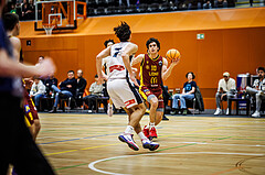 Basketball, Basketball Zweite Liga 2024/25, Grunddurchgang 20.Runde, Vienna Timberwolves, Traiskirchen Lions NexGen, David Hofstädter (10)