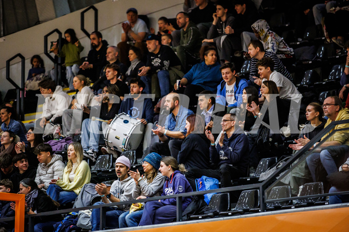Basketball, Basketball Zweite Liga 2024/25, Grunddurchgang 20.Runde, Vienna Timberwolves, Traiskirchen Lions NexGen, Zuschauer