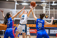Basketball, Win2Day Basketball Damen Superliga 2022/23, Grunddurchgang 11.Runde, Vienna Timberwolves, UBSC-DBBC Graz, Melanie Fischer (14)