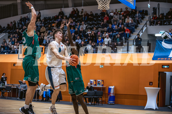 Basketball, Win2Day Superliga 2022/23, Grunddurchgang 17.Runde, Vienna Timberwolves, Kapfenberg Bulls, Jakob Lohr (12)