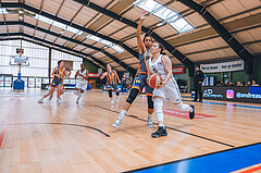 Basketball Basketball Superliga 2020/21, Grunddurchgang 10.Runde Vienna D.C. Timberwolves vs. BK Duchess
