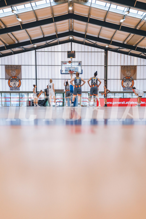 Basketball Basketball Superliga 2020/21, Grunddurchgang 10.Runde Vienna D.C. Timberwolves vs. BK Duchess
