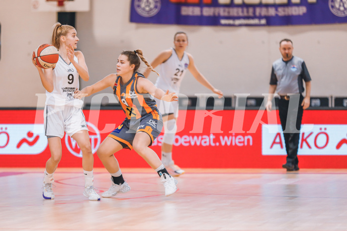 Basketball Basketball Superliga 2020/21, Grunddurchgang 10.Runde Vienna D.C. Timberwolves vs. BK Duchess
