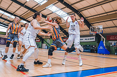Basketball Basketball Superliga 2020/21, Grunddurchgang 10.Runde Vienna D.C. Timberwolves vs. BK Duchess
