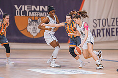 Basketball Basketball Superliga 2020/21, Grunddurchgang 10.Runde Vienna D.C. Timberwolves vs. BK Duchess
