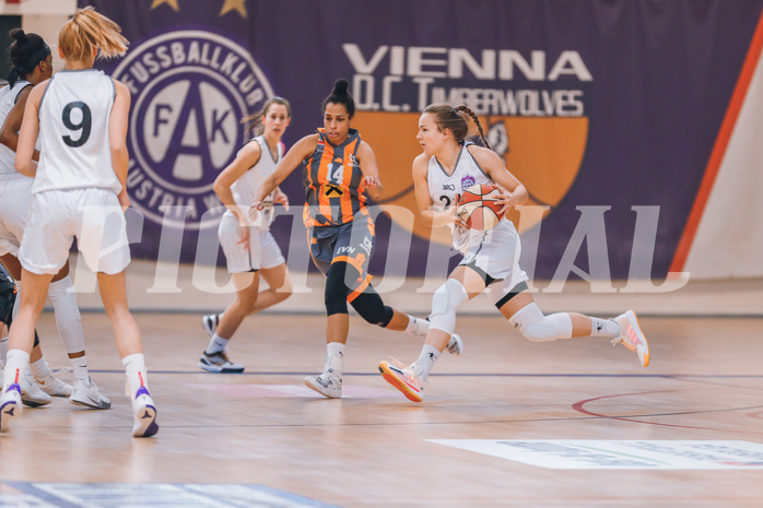 Basketball Basketball Superliga 2020/21, Grunddurchgang 10.Runde Vienna D.C. Timberwolves vs. BK Duchess

