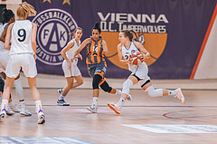 Basketball Basketball Superliga 2020/21, Grunddurchgang 10.Runde Vienna D.C. Timberwolves vs. BK Duchess
