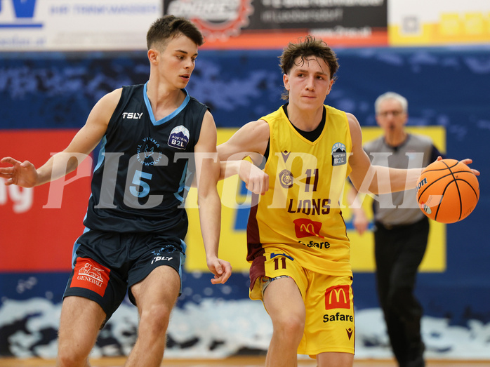 Basketball Zweite Liga 2024/25, Grunddurchgang 1.Runde Traiskirchen Lions NextGen vs. Vienna Timberwolves


