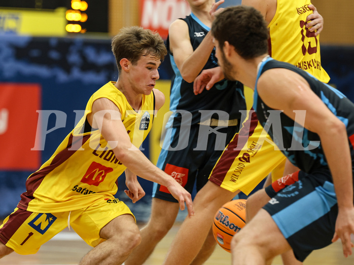 Basketball Zweite Liga 2024/25, Grunddurchgang 1.Runde Traiskirchen Lions NextGen vs. Vienna Timberwolves