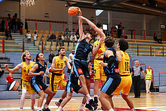 Basketball Zweite Liga 2024/25, Grunddurchgang 1.Runde Traiskirchen Lions NextGen vs. Vienna Timberwolves