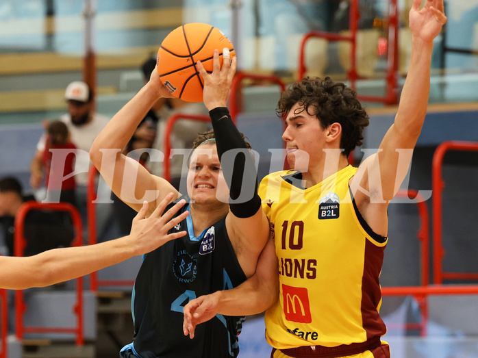 Basketball Zweite Liga 2024/25, Grunddurchgang 1.Runde Traiskirchen Lions NextGen vs. Vienna Timberwolves


