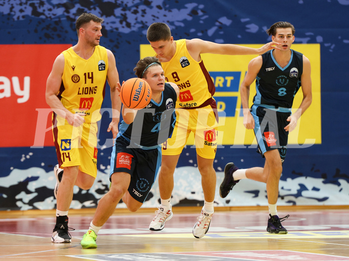 Basketball Zweite Liga 2024/25, Grunddurchgang 1.Runde Traiskirchen Lions NextGen vs. Vienna Timberwolves


