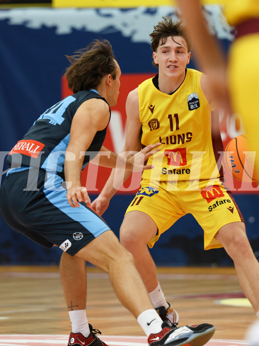 Basketball Zweite Liga 2024/25, Grunddurchgang 1.Runde Traiskirchen Lions NextGen vs. Vienna Timberwolves


