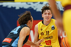 Basketball Zweite Liga 2024/25, Grunddurchgang 1.Runde Traiskirchen Lions NextGen vs. Vienna Timberwolves


