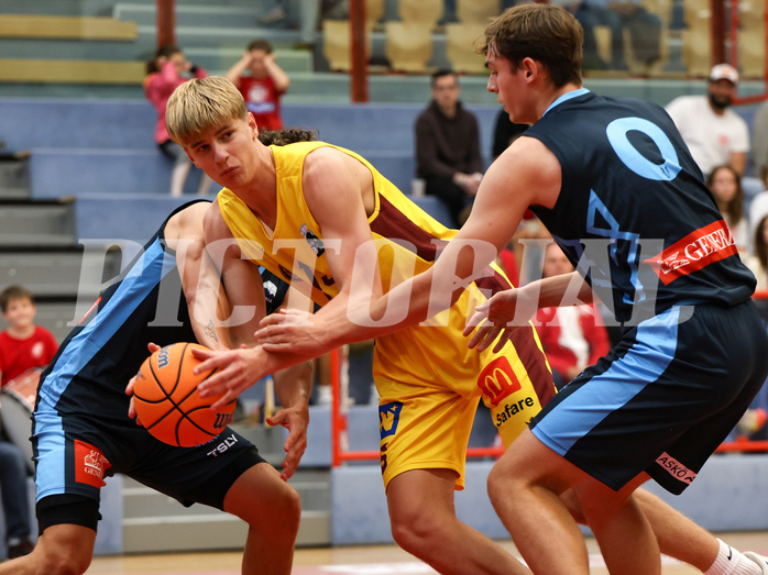 Basketball Zweite Liga 2024/25, Grunddurchgang 1.Runde Traiskirchen Lions NextGen vs. Vienna Timberwolves


