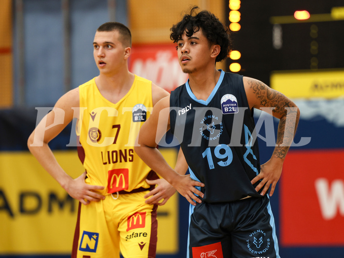 Basketball Zweite Liga 2024/25, Grunddurchgang 1.Runde Traiskirchen Lions NextGen vs. Vienna Timberwolves


