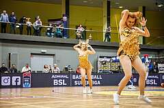 Basketball, Basketball Austria Cup 2019/20, Finale, Kapfenberg Bulls, Klosterneuburg Dukes, GoTo Girls