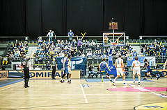 Basketball, Basketball Austria Cup 201920, Finale, Kapfenberg Bulls, Klosterneuburg Dukes, Bulls Fans