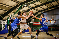 Basketball, Basketball Austria Cup 2021/22, 1/4 Finale, Vienna D.C. Timberwolves, UNGER STEEL Gunners Oberwart, Nemanja Nikolic (6)