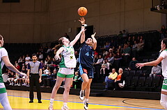 01.11.2024, Graz, Raiffeisen Sportpark, Basketball Austria Cup 2024-25, Viertelfinale, UBI Holding Graz vs. Vienna Timberwolves,  
