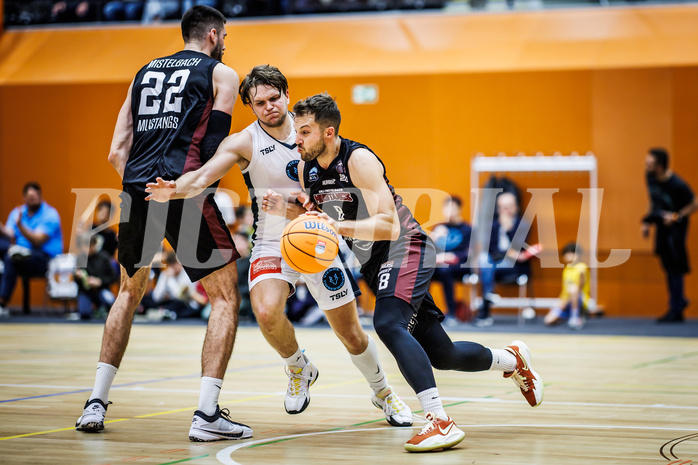Basketball, Basketball Zweite Liga 2024/25, Grunddurchgang 6.Runde, Vienna Timberwolves, Mistelbach Mustangs, Viktor Vasat (22), Felix Angerbauer (4), Maximilian Girschik (9)