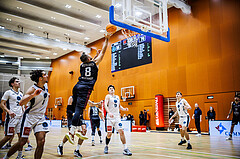 Basketball, Basketball Zweite Liga 2024/25, Grunddurchgang 6.Runde, Vienna Timberwolves, Mistelbach Mustangs, Jan Kozina (8)