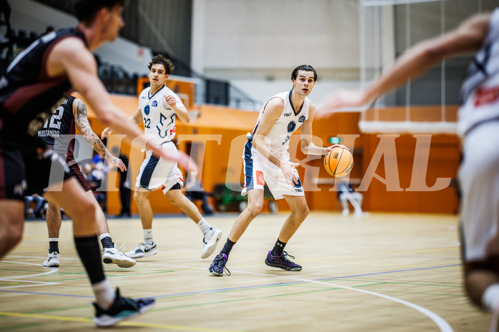 Basketball, Basketball Zweite Liga 2024/25, Grunddurchgang 6.Runde, Vienna Timberwolves, Mistelbach Mustangs, Vincent Balau (8)
