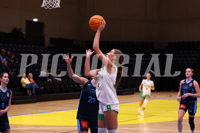 01.11.2024, Graz, Raiffeisen Sportpark, Basketball Austria Cup 2024-25, Viertelfinale, UBI Holding Graz vs. Vienna Timberwolves,  