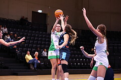 01.11.2024, Graz, Raiffeisen Sportpark, Basketball Austria Cup 2024-25, Viertelfinale, UBI Holding Graz vs. Vienna Timberwolves,  
