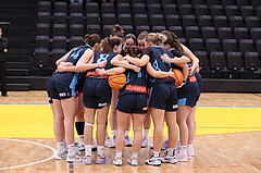 01.11.2024, Graz, Raiffeisen Sportpark, Basketball Austria Cup 2024-25, Viertelfinale, UBI Holding Graz vs. Vienna Timberwolves,  