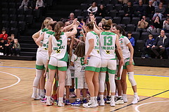01.11.2024, Graz, Raiffeisen Sportpark, Basketball Austria Cup 2024-25, Viertelfinale, UBI Holding Graz vs. Vienna Timberwolves,  