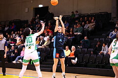 01.11.2024, Graz, Raiffeisen Sportpark, Basketball Austria Cup 2024-25, Viertelfinale, UBI Holding Graz vs. Vienna Timberwolves,  
