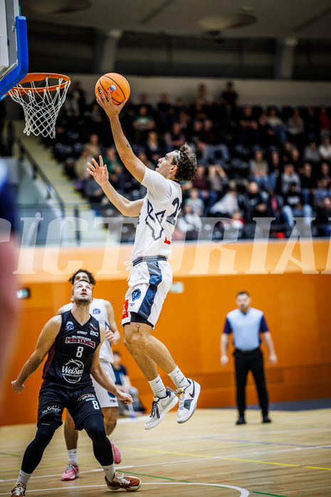 Basketball, Basketball Zweite Liga 2024/25, Grunddurchgang 6.Runde, Vienna Timberwolves, Mistelbach Mustangs, Daniele Kuchar (22)