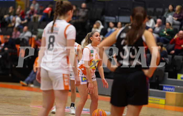 Basketball Damen Superliga 2024/25, Grunddurchgang 10.Runde BK Duchess Klosterneuburg vs. Vienna United


