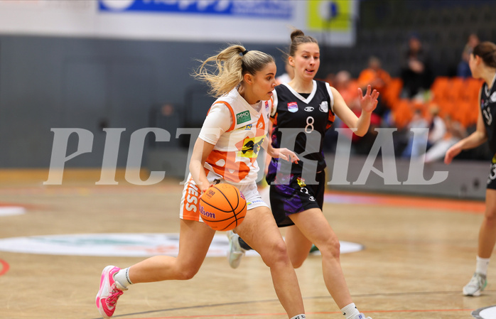 Basketball Damen Superliga 2024/25, Grunddurchgang 10.Runde BK Duchess Klosterneuburg vs. Vienna United


