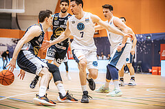Basketball, Win2Day Superliga 2022/23, Grunddurchgang 8.Runde, Vienna Timberwolves, Gmunden Swans, Benedikt Güttl (7), Robbe Janssens (7)