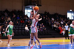 12.01.2025, Graz, Raiffeisen Sportpark, Basketball Damen Superliga 2024/25, Grunddurchgang, 11.Runde, UBSC Graz - UBI Graz,  