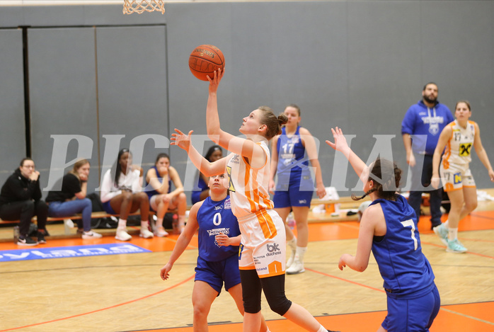 Basketball Damen Superliga 2021/22, Grunddurchgang 14.Runde BK Duchess Klosterneuburg vs. D.C. Timberwolves



