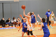 Basketball Damen Superliga 2021/22, Grunddurchgang 14.Runde BK Duchess Klosterneuburg vs. D.C. Timberwolves


