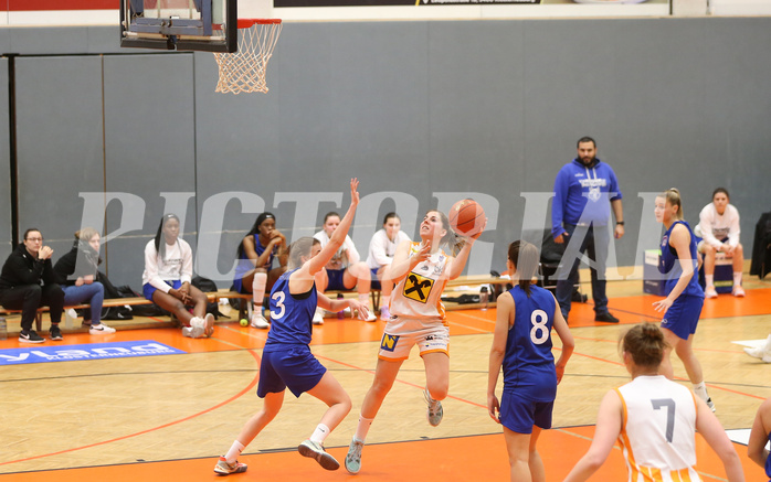 Basketball Damen Superliga 2021/22, Grunddurchgang 14.Runde BK Duchess Klosterneuburg vs. D.C. Timberwolves


