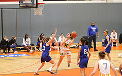 Basketball Damen Superliga 2021/22, Grunddurchgang 14.Runde BK Duchess Klosterneuburg vs. D.C. Timberwolves


