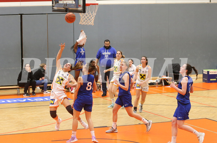 Basketball Damen Superliga 2021/22, Grunddurchgang 14.Runde BK Duchess Klosterneuburg vs. D.C. Timberwolves


