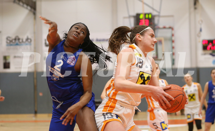 Basketball Damen Superliga 2021/22, Grunddurchgang 14.Runde BK Duchess Klosterneuburg vs. D.C. Timberwolves



