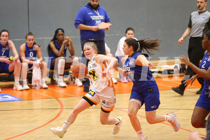 Basketball Damen Superliga 2021/22, Grunddurchgang 14.Runde BK Duchess Klosterneuburg vs. D.C. Timberwolves


