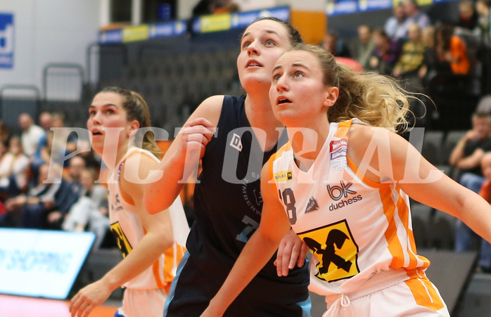 Basketball Damen Superliga 2022/23, Grunddurchgang 5.Runde BK Duchess Klosterneuburg vs. D.C. Timberwolves


