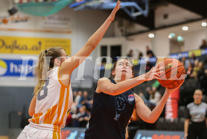 Basketball Damen Superliga 2022/23, Grunddurchgang 5.Runde BK Duchess Klosterneuburg vs. D.C. Timberwolves


